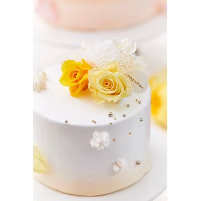 [85] White yellow carnation 2
