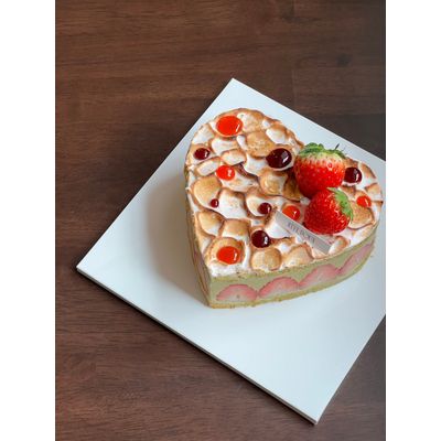 Fraisier_프레지에 4