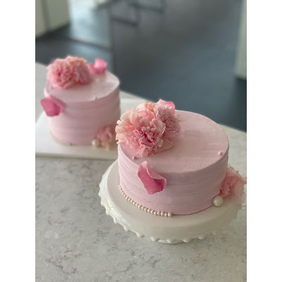 [126] Lady pink carnation 1
