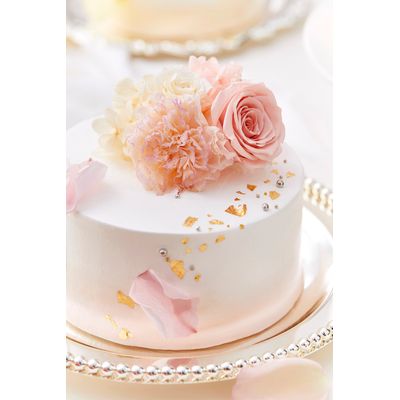 [84] Peach pink carnation 1