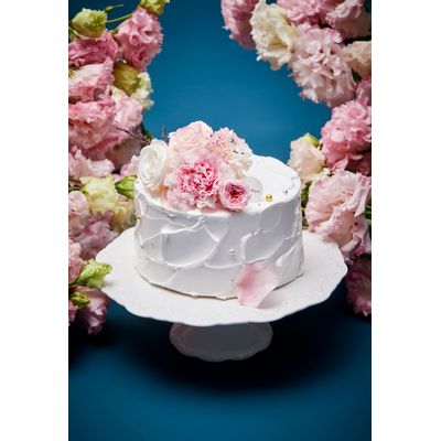 [56] White-Pink Carnation 1