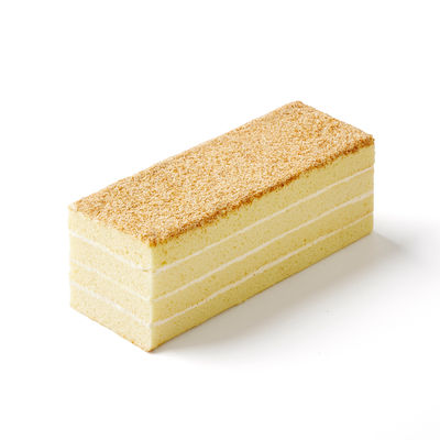 스폰지 1