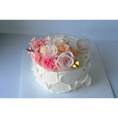 [60] Pink Carnation 2