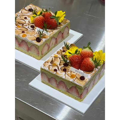 Fraisier_프레지에 2