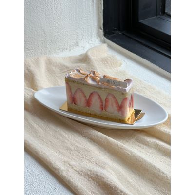 Fraisier_프레지에 3