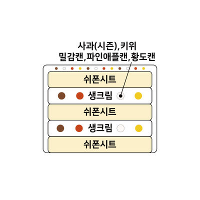 과일쉬폰 2