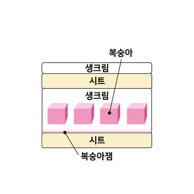 복숭아덤불 2