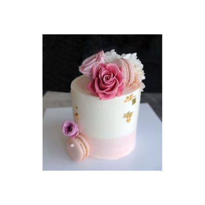 [26] Mini Pink Rose 1