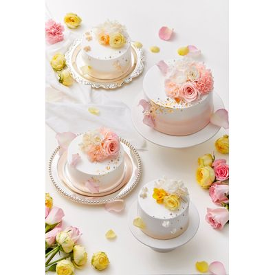 [85] White yellow carnation 3