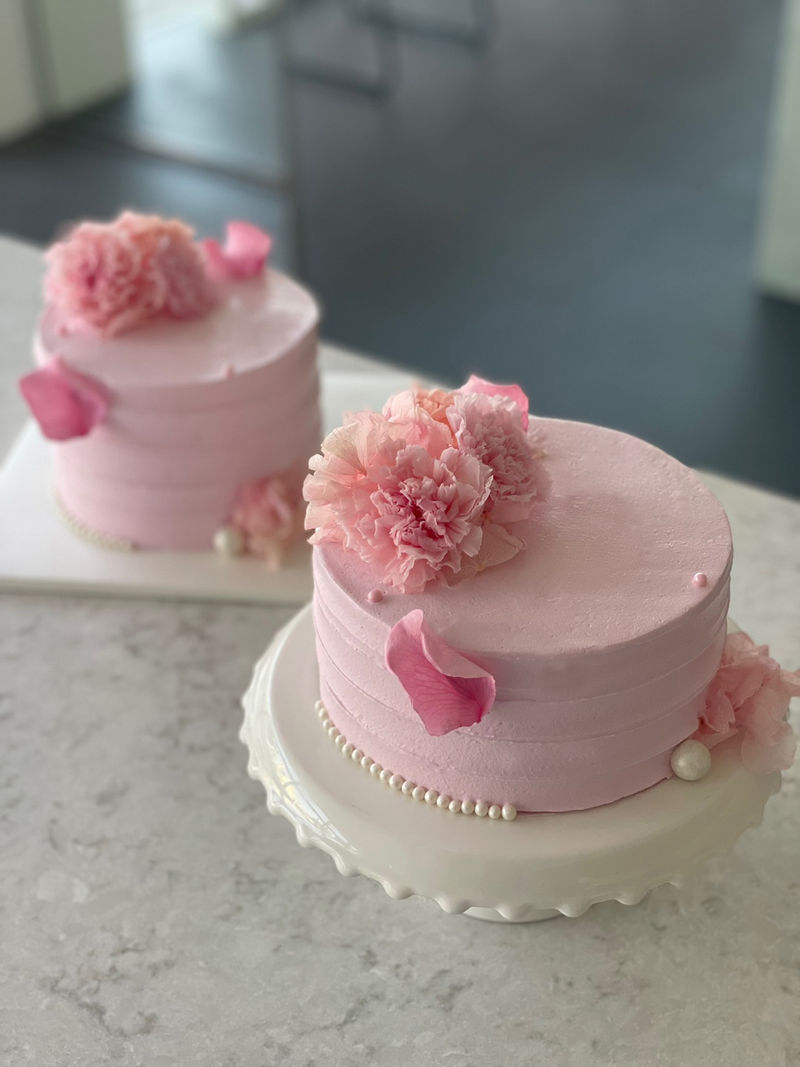 [126] Lady pink carnation
