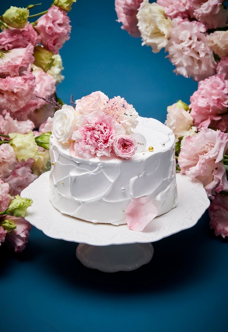 [56] White-Pink Carnation