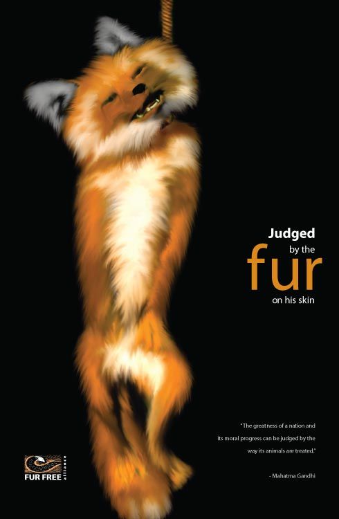 Design Against Fur Student Poster