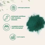 micro ingredients spirulina organica 2