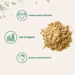 Proteina de guisante organico en polvo 2