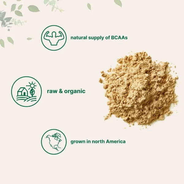 Proteina de guisante organico en polvo 2