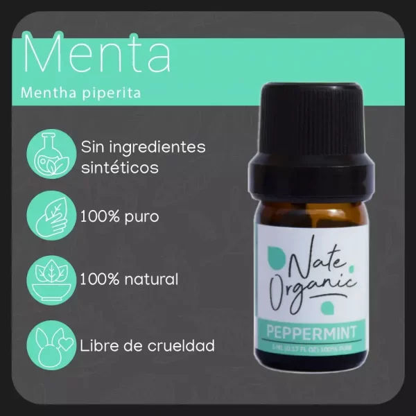 propiedades aceite de menta 5ml nateorganic 1