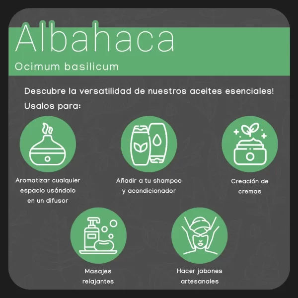 propiedades aceite de albahaca nateorganic