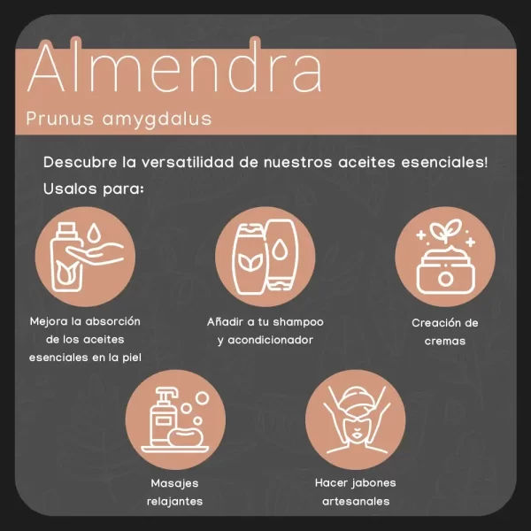 propiedades aceite de almendra nateorganic