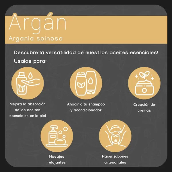 propiedades aceite de argan nateorganic