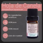 propiedades aceite de hoja de canela 5ml nateorganic 2