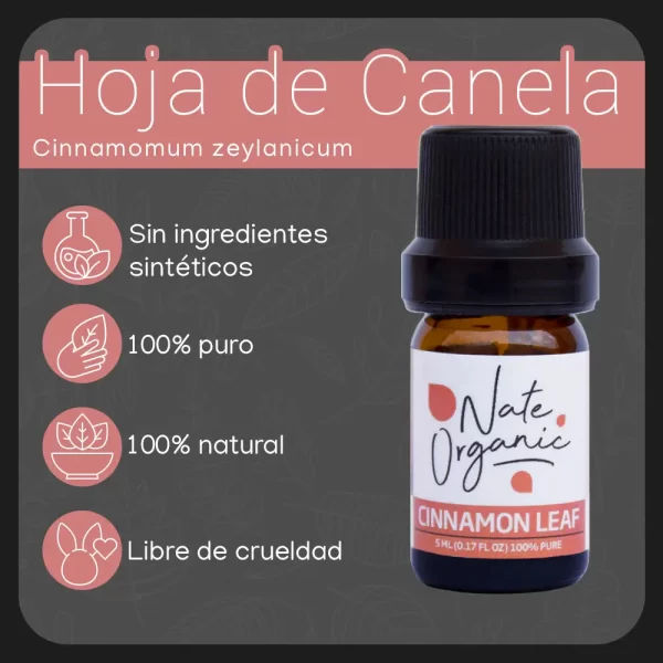propiedades aceite de hoja de canela 5ml nateorganic 1