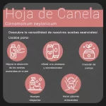 propiedades aceite de hoja de canela nateorganic