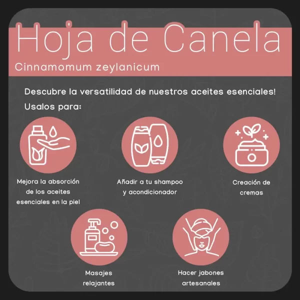 propiedades aceite de hoja de canela nateorganic