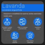propiedades aceite de lavanda nateorganic