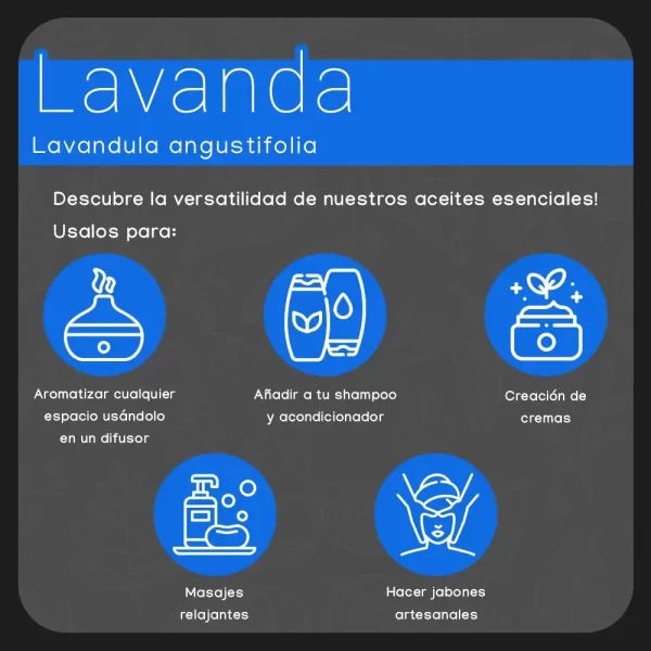 propiedades aceite de lavanda nateorganic