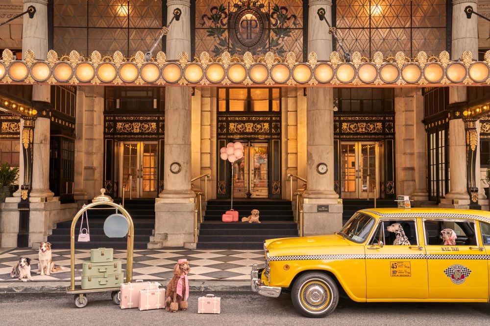 The Plaza Hotel gallery 2