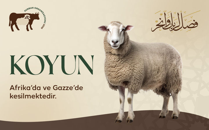 Afrika Koyun Kurbanı