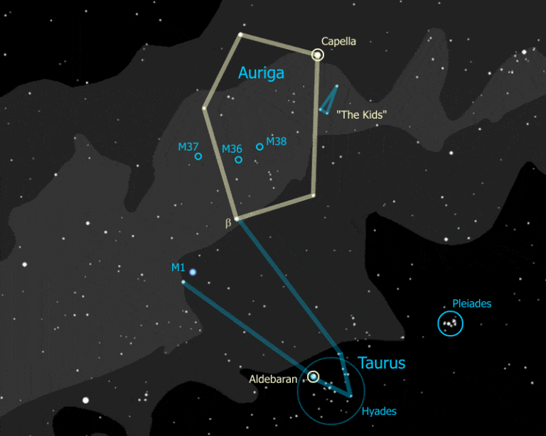 Auriga