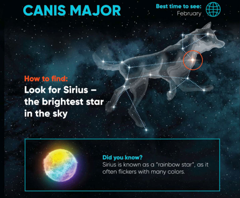 Canis Major