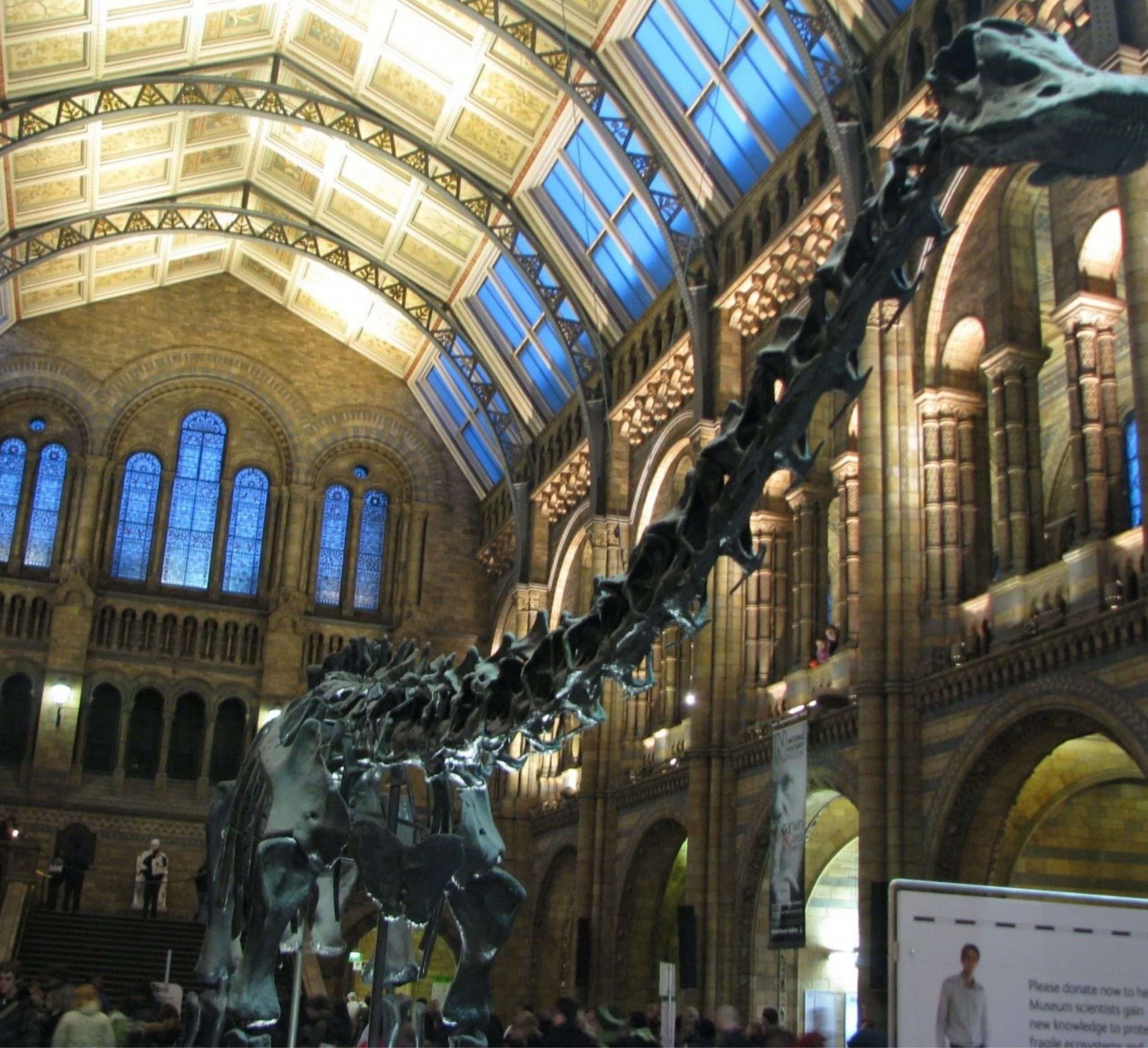 7 Awesome Gifts Ideas for Your Holiday Wishlist This Year