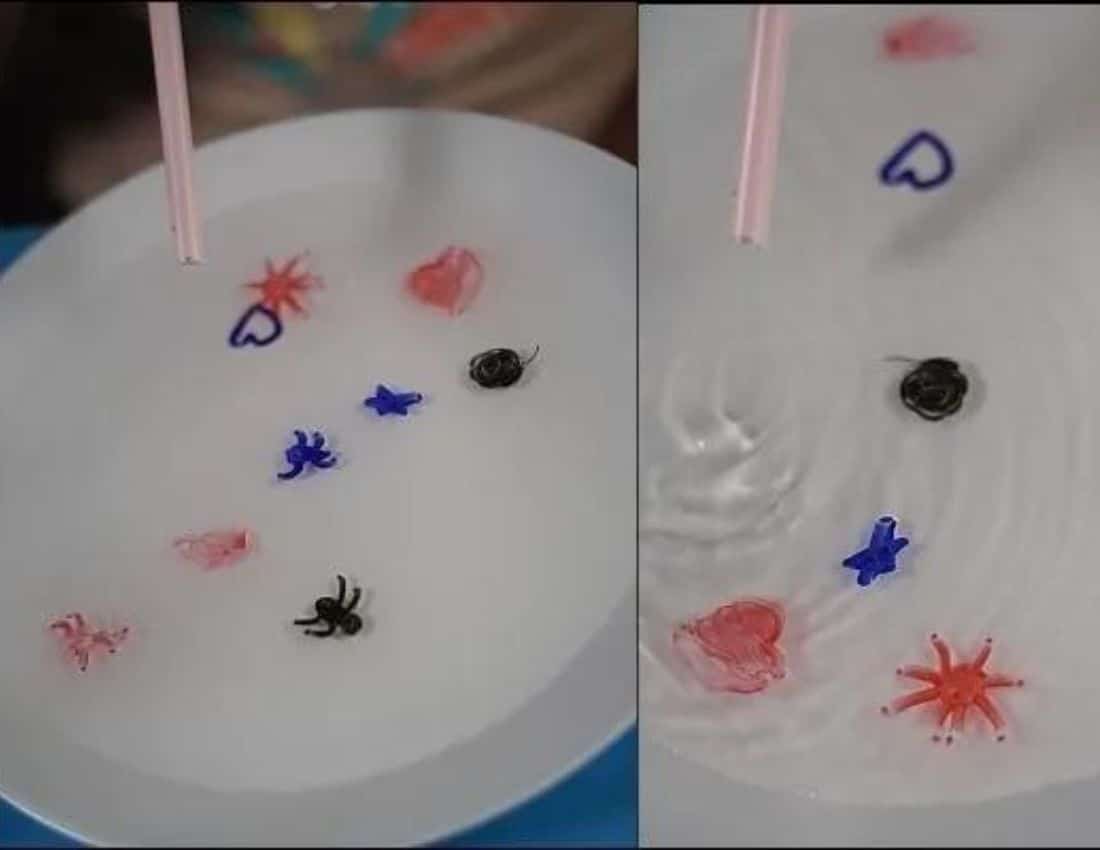 Standing on Paper Cups Experiment