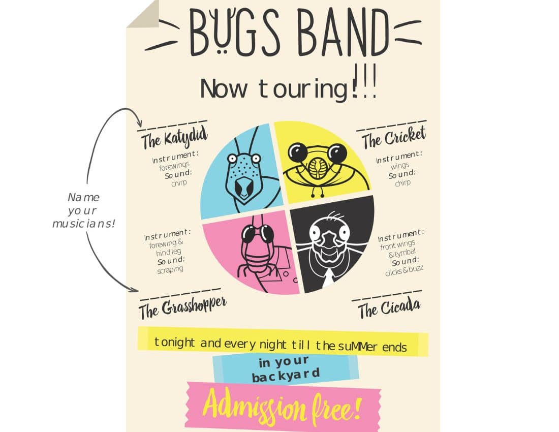 Backyard Bug Band