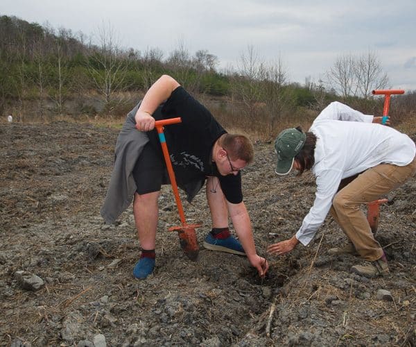 Whitley County High School students learned about best land management practices and planted trees at farm that was a reclaimed strip mine.