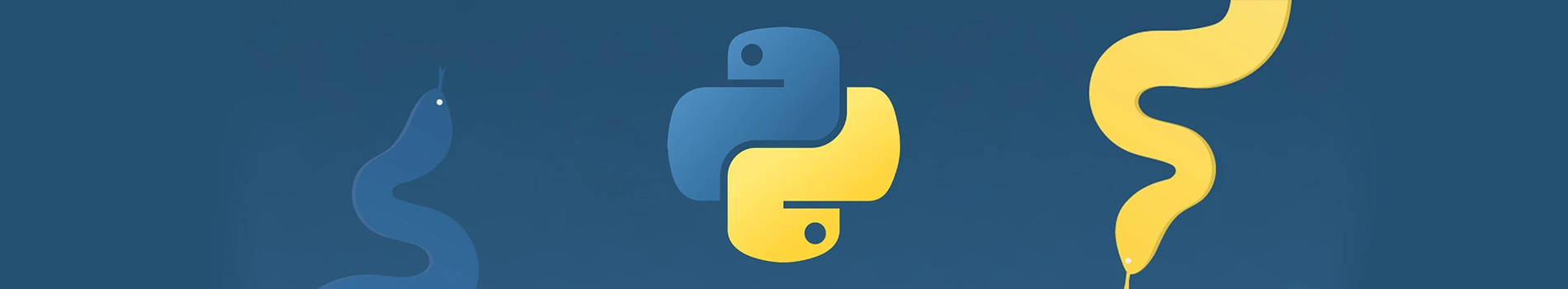 python-training-institute-noida