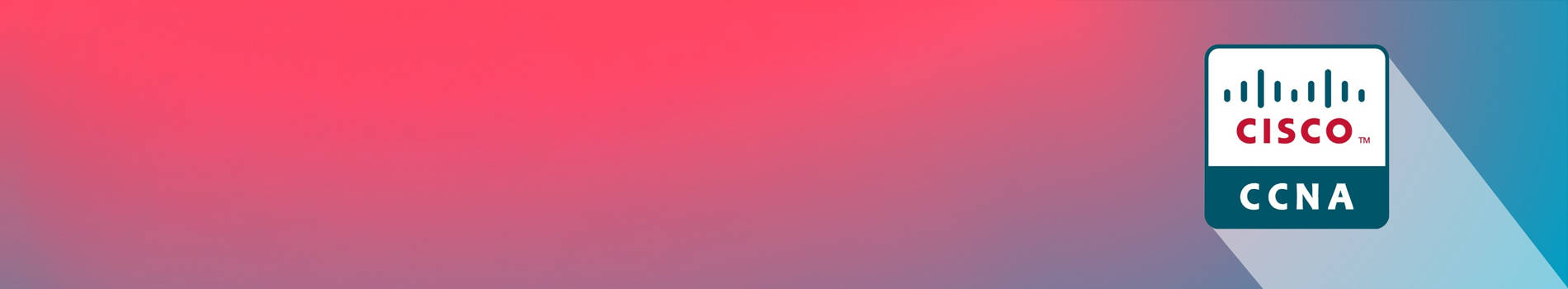 ccna-training-noida