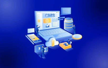 Salesforce Training Institute