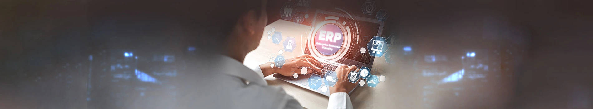 erp-training