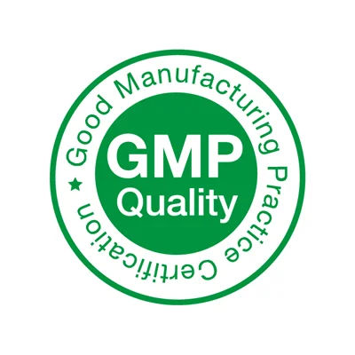 GMP Logo