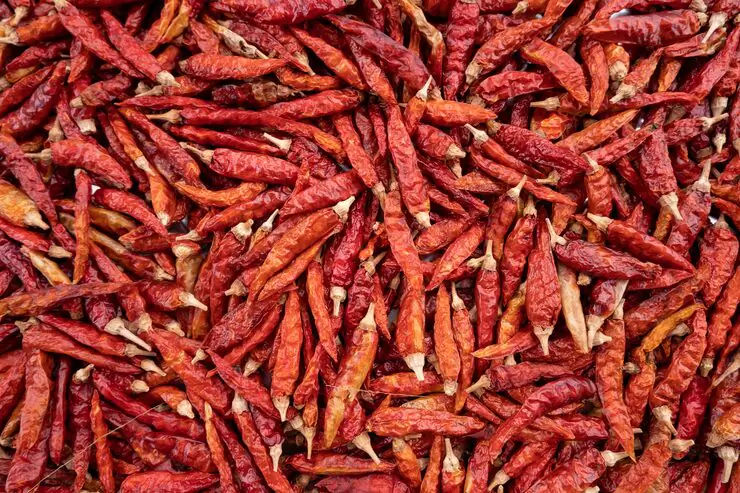 Premium Red Chillies - Mukta Exports India's Premier Red Chilli Exporter