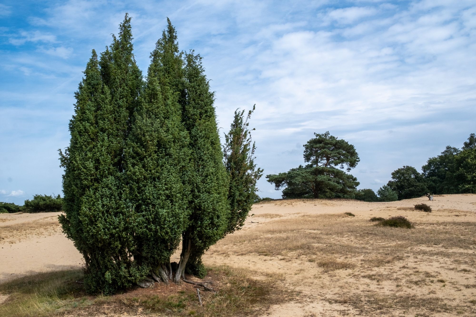 ©arjensnijder.photography