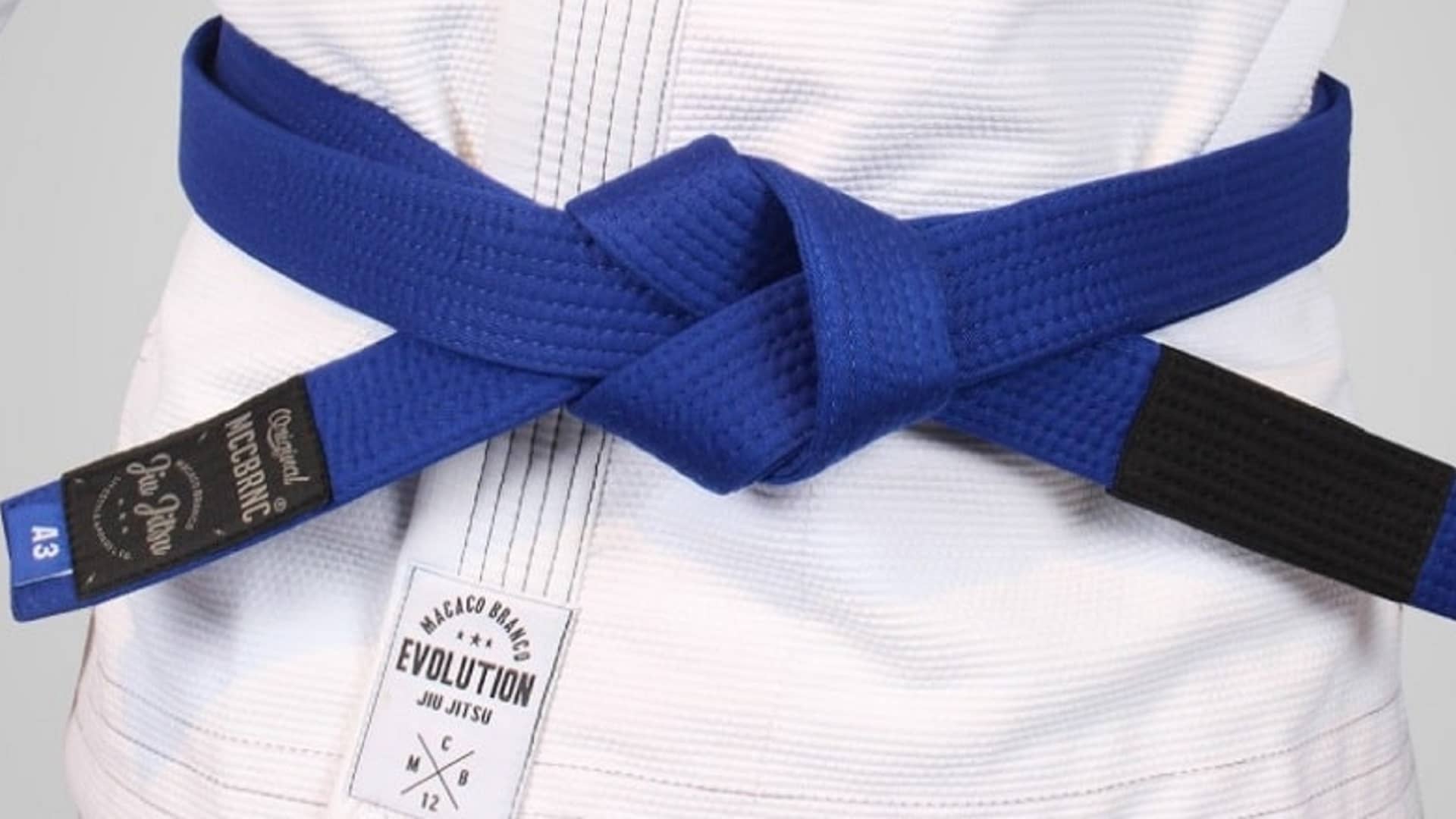 BJJ Blue Belt Requirement for Police: Michigan Representative introduces  bill