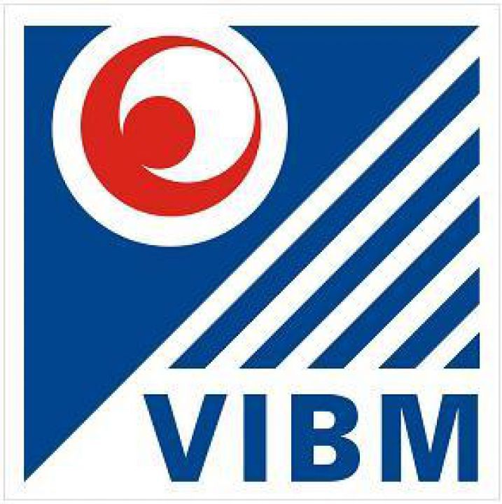 vibm_thumb_720