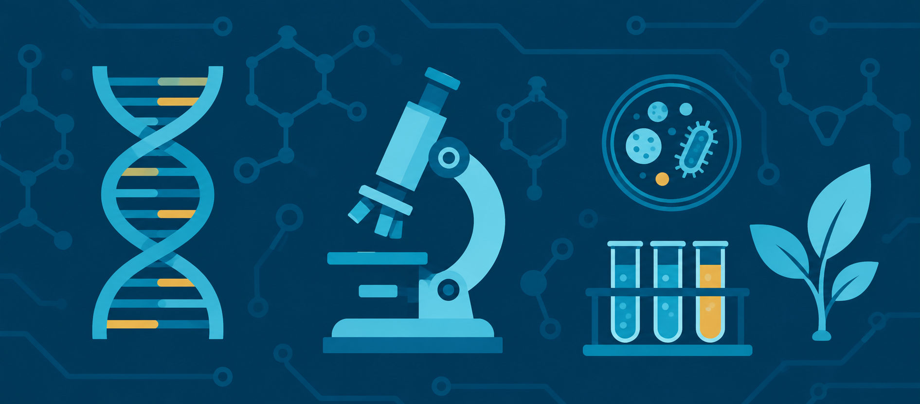 Biotechnology Engineering