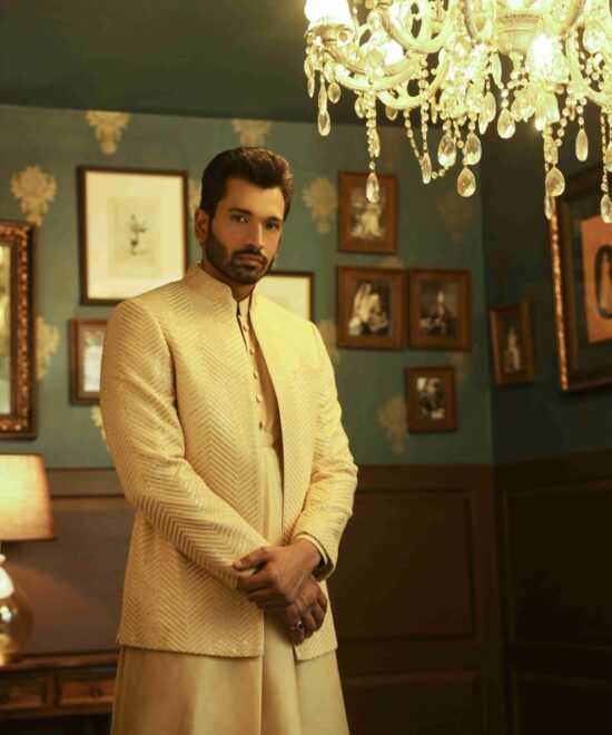 Embroidered Jodhpuri Bandhgala Suit for men