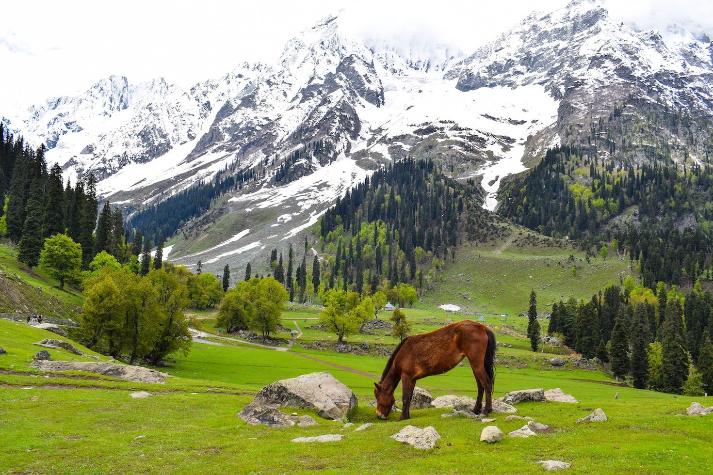 kashmir tour packages heena travels