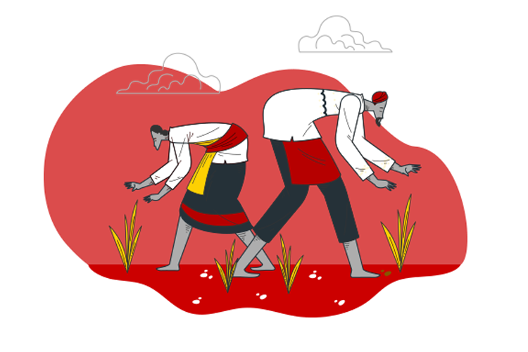 Farm / Agricultural Land